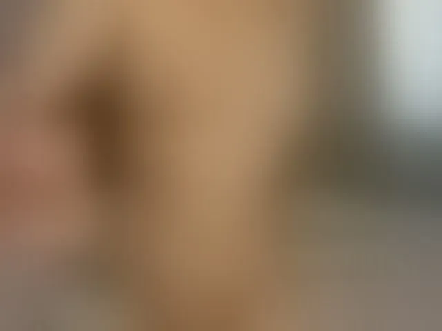 Live sex webcam photo for AnzuKim #293487159