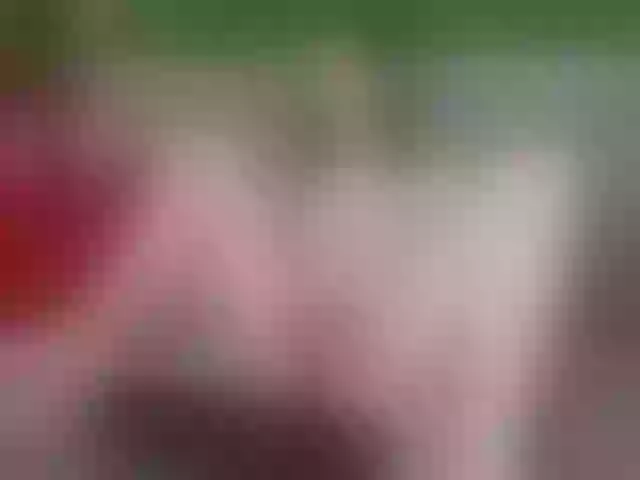 Live sex webcam photo for April-Avery #291624592