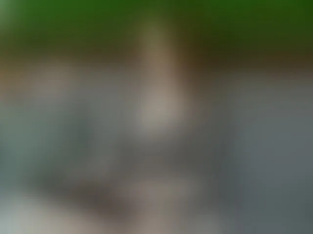 Live sex webcam photo for April-Avery #292496153