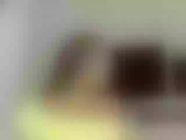 Live sex webcam photo for AriaFoster #292172711
