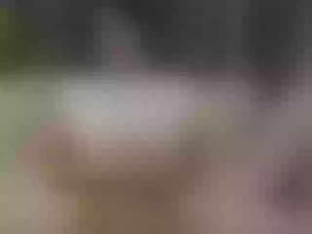 Live sex webcam photo for AriaShy #292225325