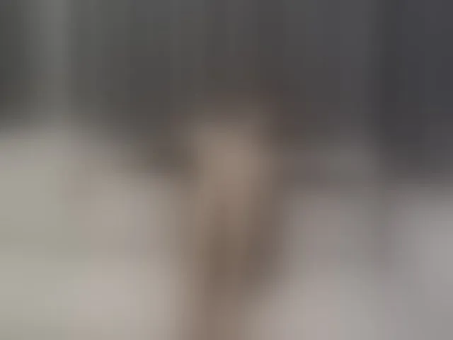 Live sex webcam photo for AriaShy #292545967