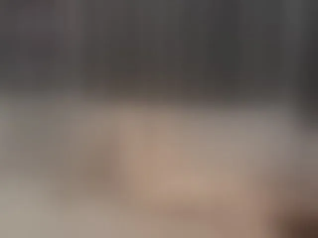 Live sex webcam photo for AriaShy #293540419