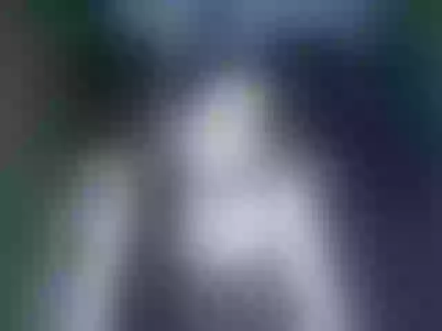 Live sex webcam photo for Ariana08 #291850472