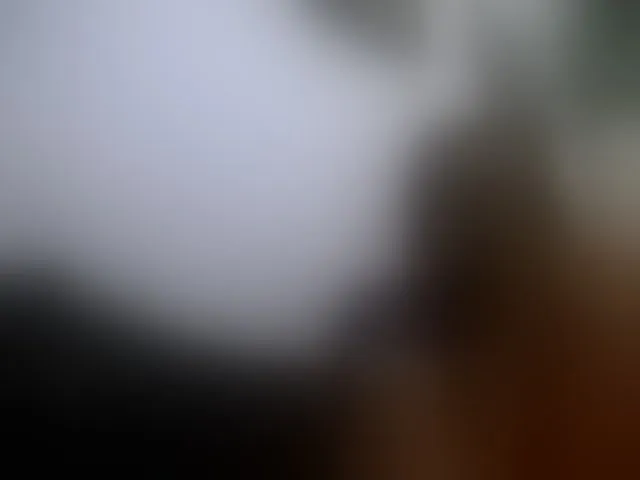 Live sex webcam photo for Ariana08 #292594487