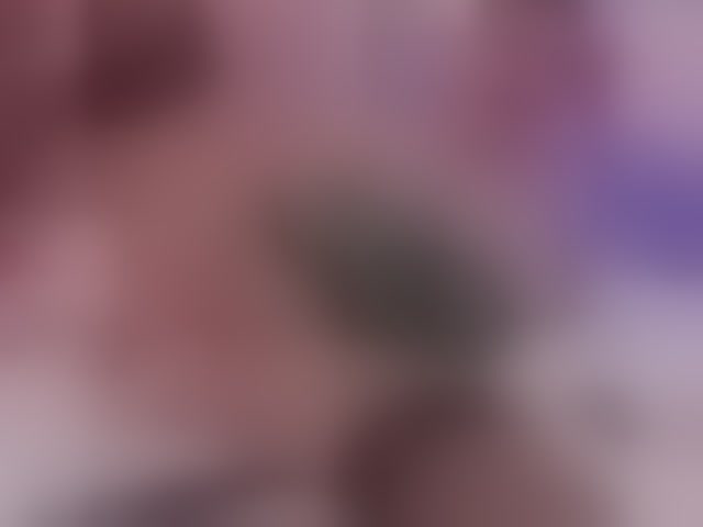 Live sex webcam photo for ArianaCroft #294216632