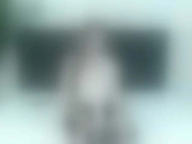 Live sex webcam photo for ArianaDiosa #293013379