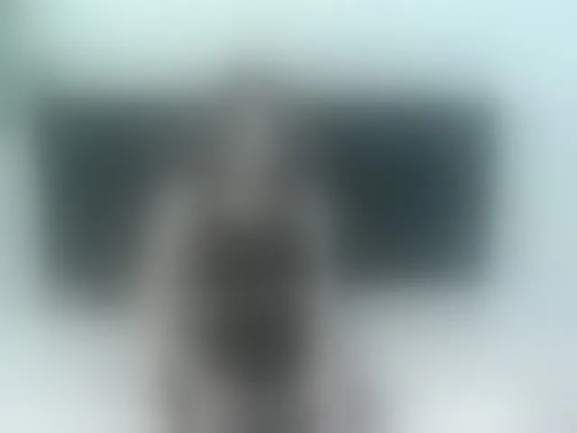 Live sex webcam photo for ArianaDiosa #293052449