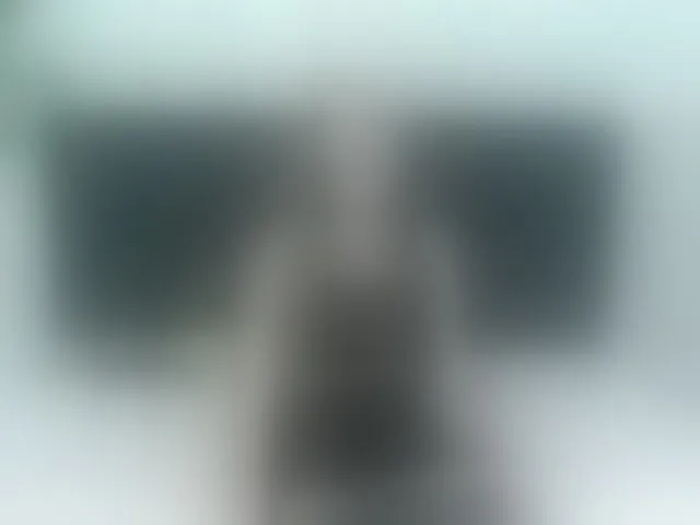Live sex webcam photo for ArianaDiosa #293054621