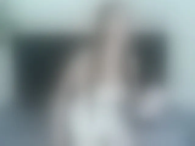 Live sex webcam photo for ArianaDiosa #293200125