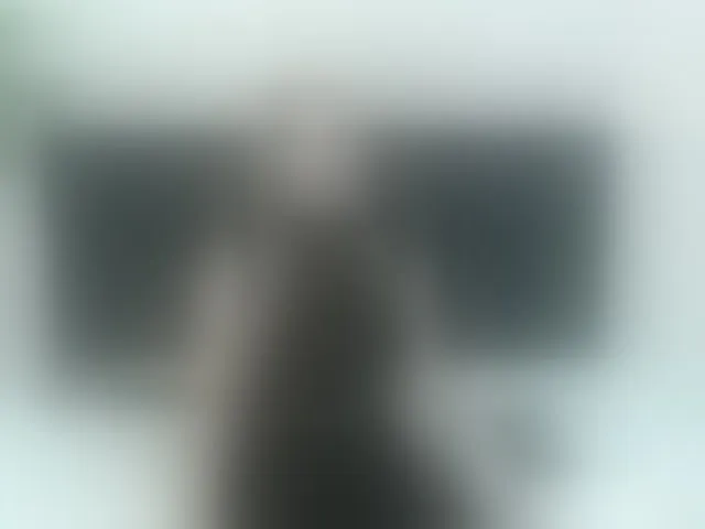 Live sex webcam photo for ArianaDiosa #293238216