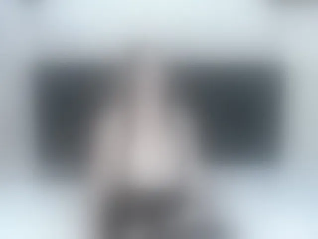 Live sex webcam photo for ArianaDiosa #293336860