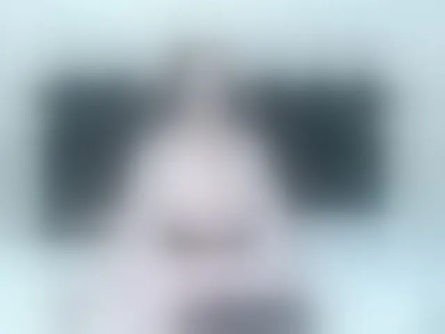 Live sex webcam photo for ArianaDiosa #293685399