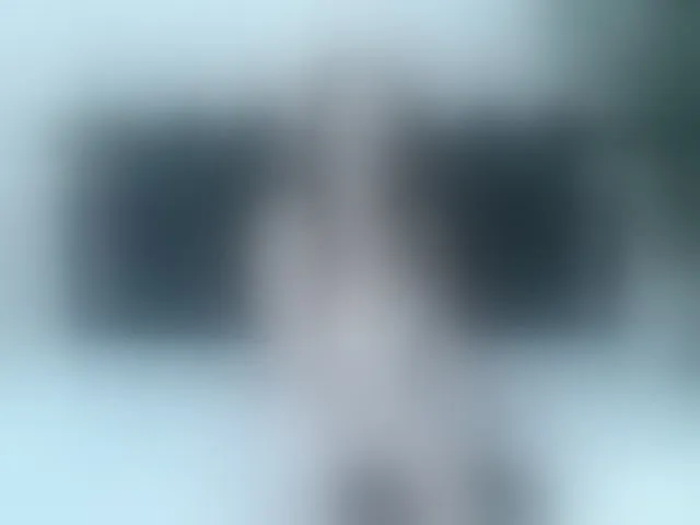 Live sex webcam photo for ArianaDiosa #293942995