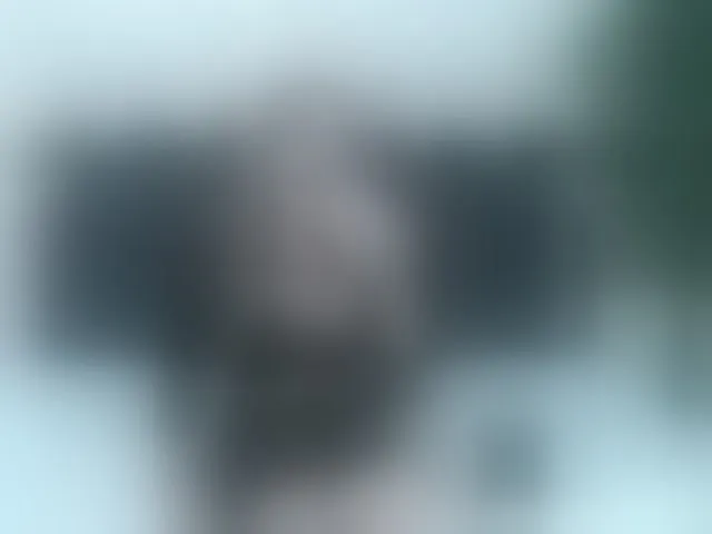 Live sex webcam photo for ArianaDiosa #294012514
