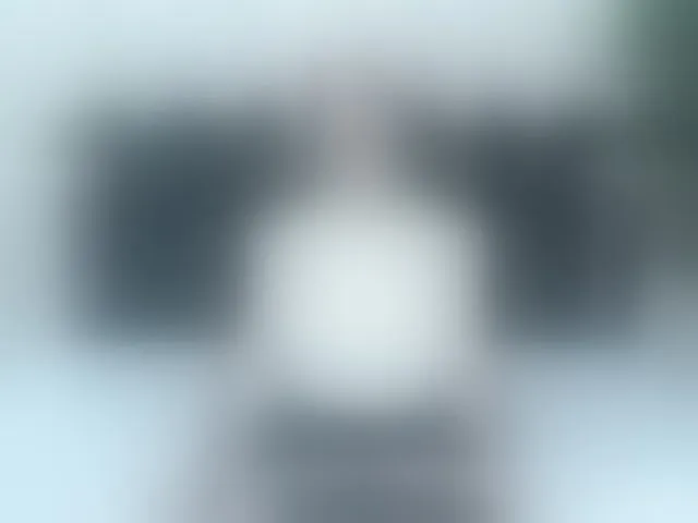 Live sex webcam photo for ArianaDiosa #294040895