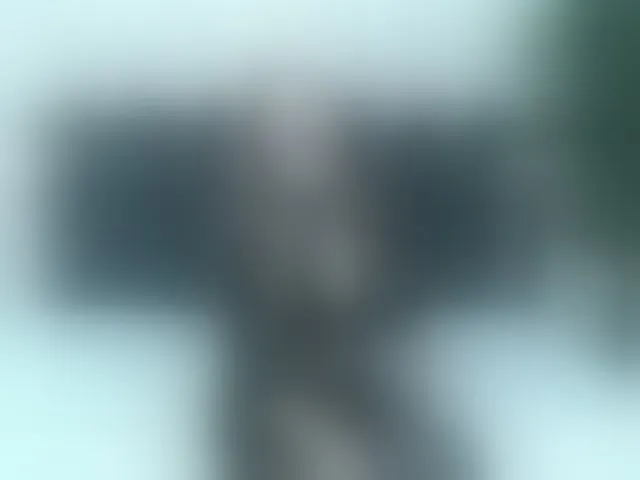 Live sex webcam photo for ArianaDiosa #294054676