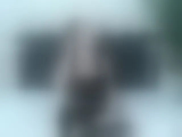 Live sex webcam photo for ArianaDiosa #294069311