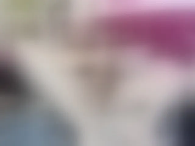 Live sex webcam photo for Arianableckr2 #293862820