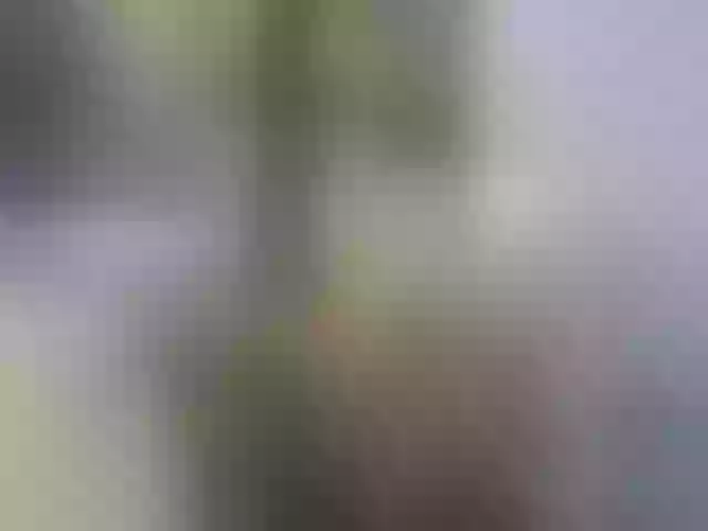 Live sex webcam photo for Arianna-moon #291487182