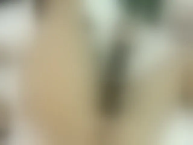 Live sex webcam photo for AricherBunny #273481148
