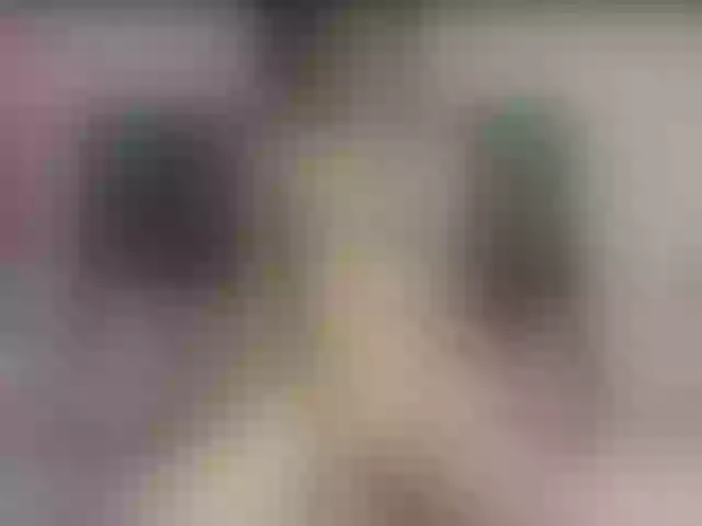 Live sex webcam photo for Ariel-star #291140385