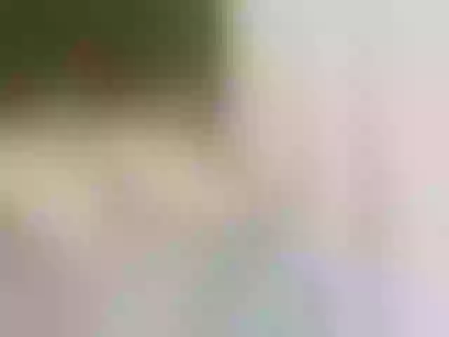 Live sex webcam photo for Ariel006 #272653867