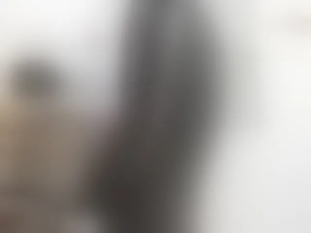 Live sex webcam photo for Aries-Mature #293270014