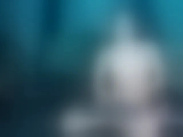Live sex webcam photo for Arii-moon #290831438