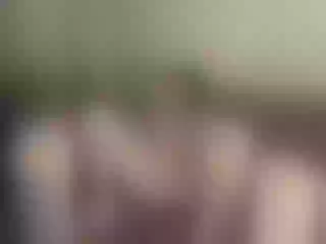 Live sex webcam photo for ArinaTheKink #290561085