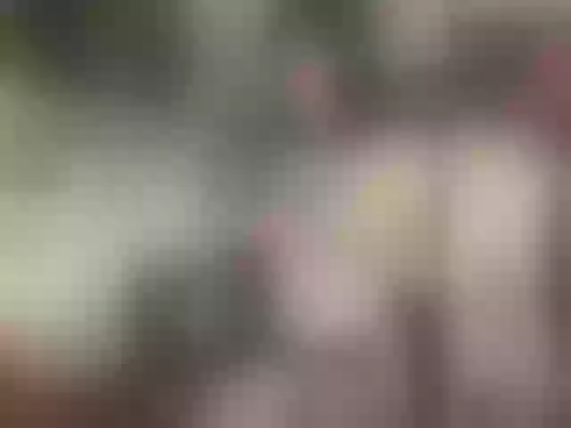 Live sex webcam photo for ArinaTheKink #291352228
