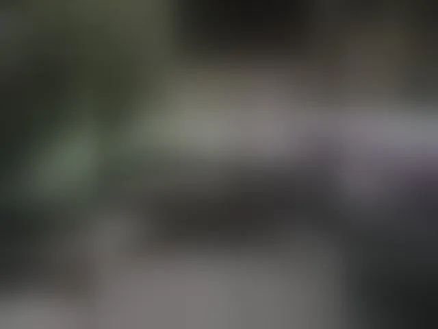 Live sex webcam photo for Art-83 #291193658