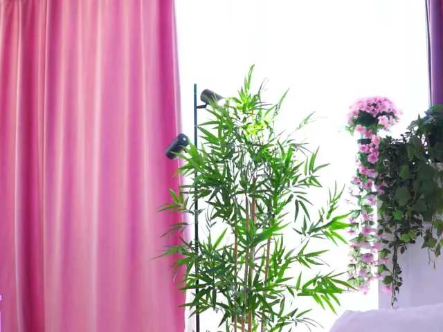 Live sex webcam photo for ArtTeasee #291083980