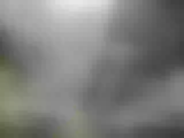 Live sex webcam photo for Artembaby #276400878