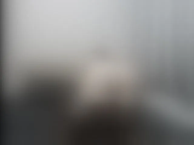 Live sex webcam photo for Artembaby #293149286