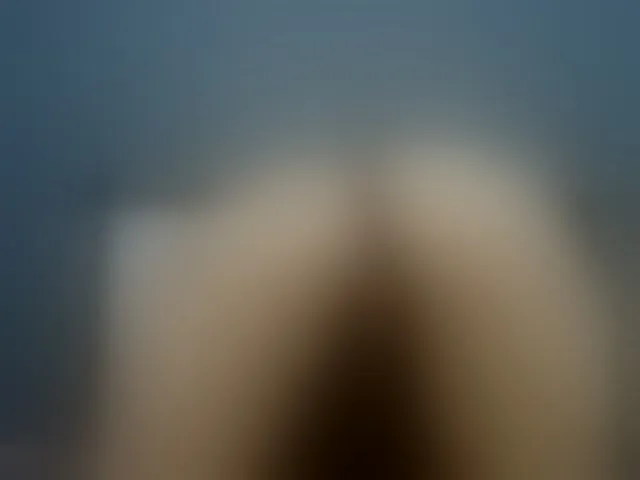 Live sex webcam photo for Artemisa-18 #277252784