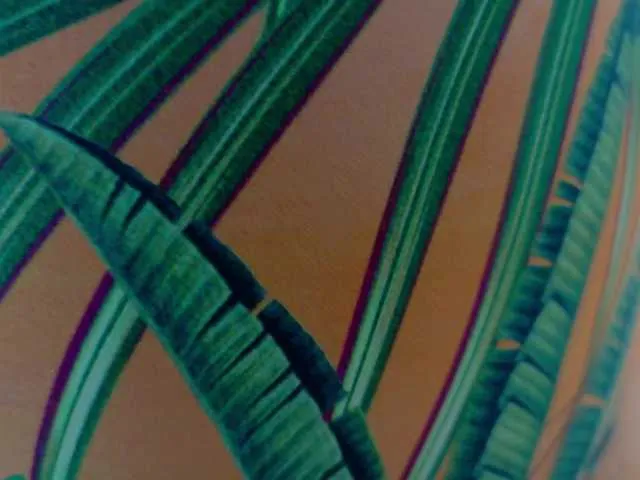 Live sex webcam photo for ArtesanaMK #292300831