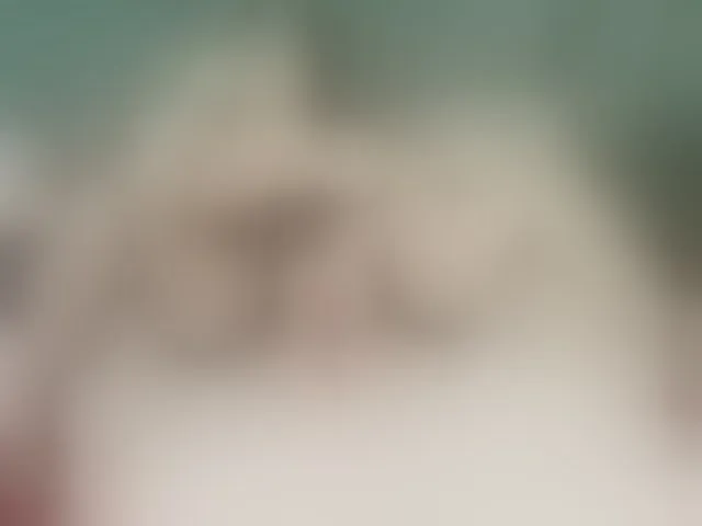 Live sex webcam photo for AryaEve #293779544
