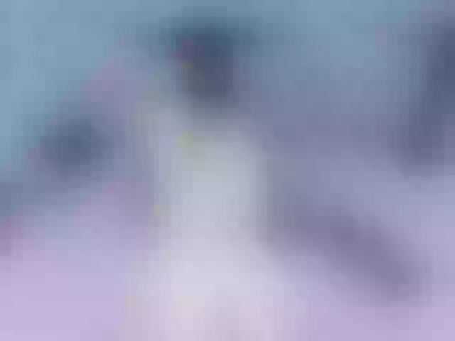 Live sex webcam photo for Ashley-7777 #291475165