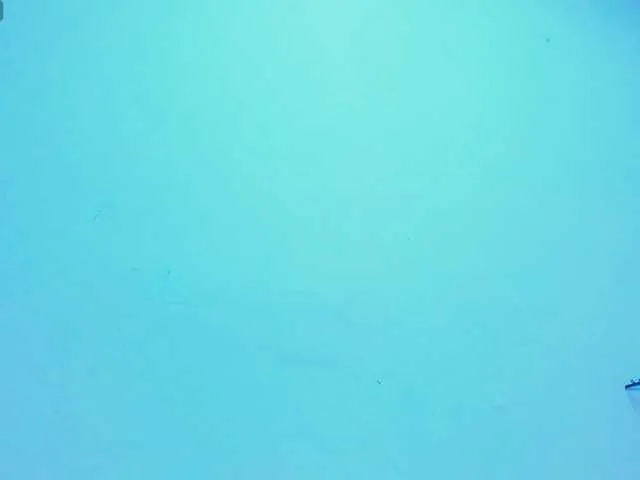 Live sex webcam photo for Ashley-7777 #291556460