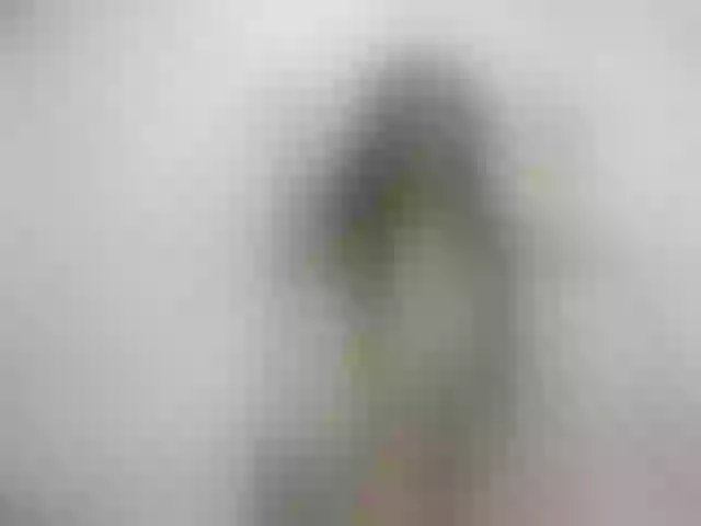 Live sex webcam photo for Ashley-Thonss #274278505
