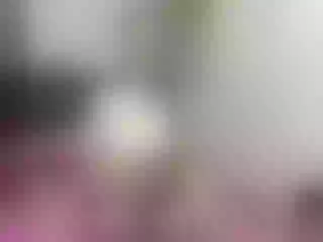 Live sex webcam photo for Ashley-Thonss #274328267