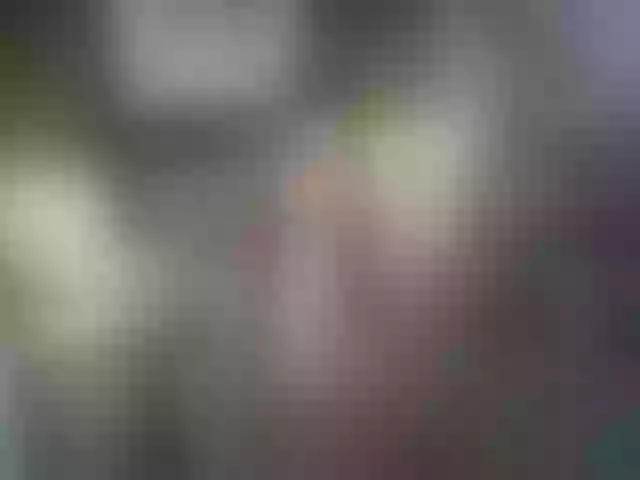Live sex webcam photo for AshleyReignFajardo #291342753