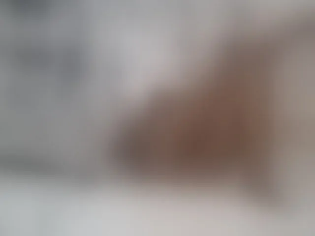 Live sex webcam photo for AshleyT255 #293640311
