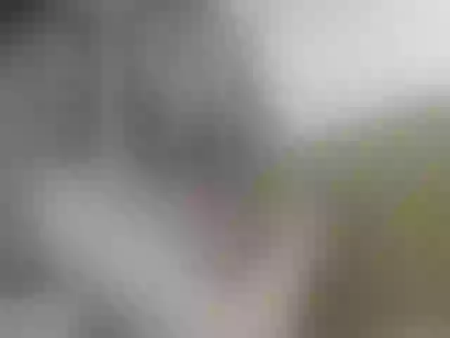 Live sex webcam photo for AshleyWils #277294756