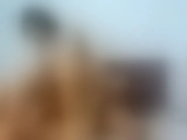 Live sex webcam photo for Ashleywen-d #293986437