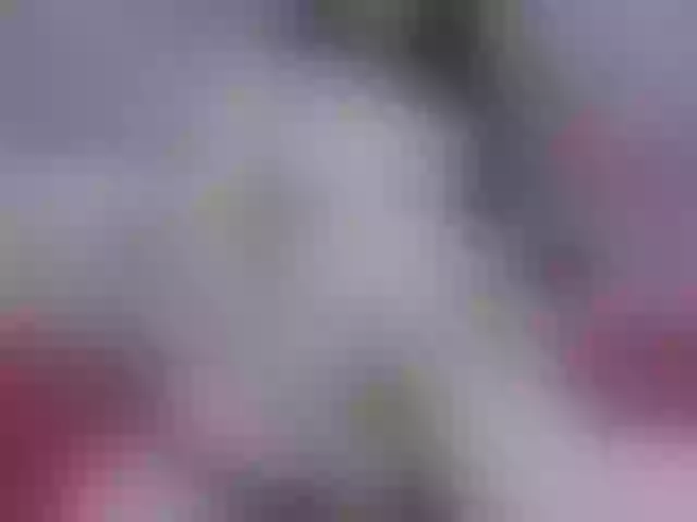 Live sex webcam photo for AsiaHot95 #291636378