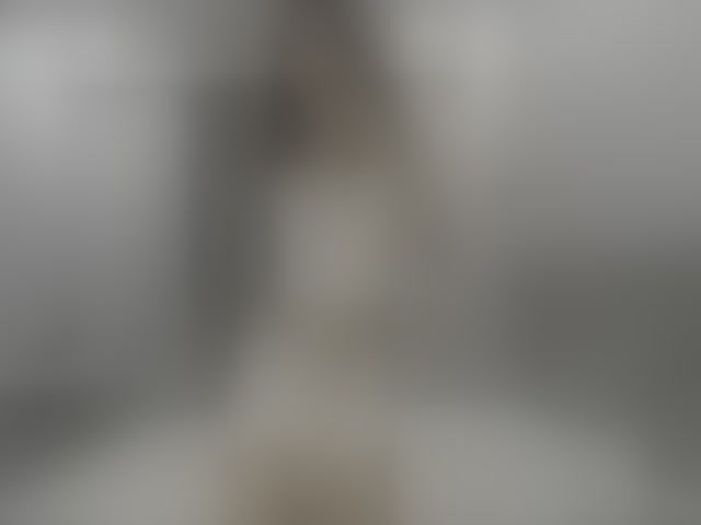 Live sex webcam photo for AsianJenny #294198204
