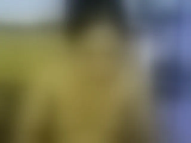 Live sex webcam photo for AsianLadyboy888 #292748420