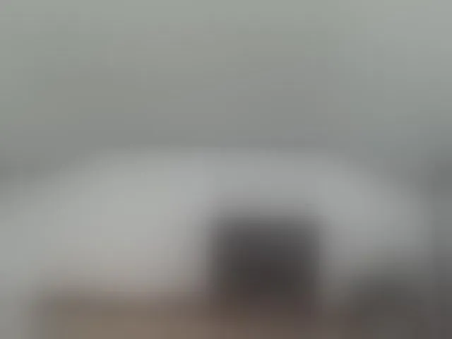Live sex webcam photo for AsianLadyboy888 #293665244